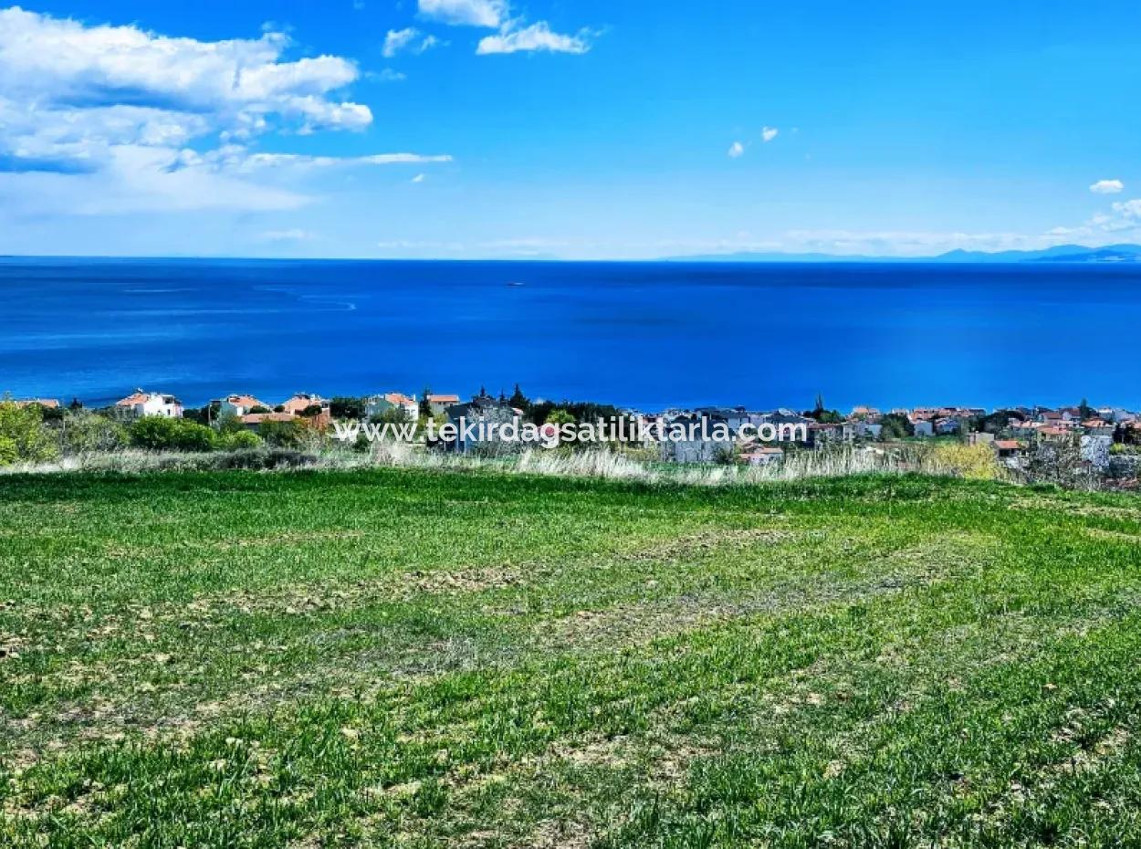 Vollständige Meeres- Und Naturlandschaftsinfrastruktur Bereit Luxus-, 45-Wohnungen-, Genossenschafts- Und Coupon-Grundstücke, Die Für Den Bau Vor Ort Geeignet Sind