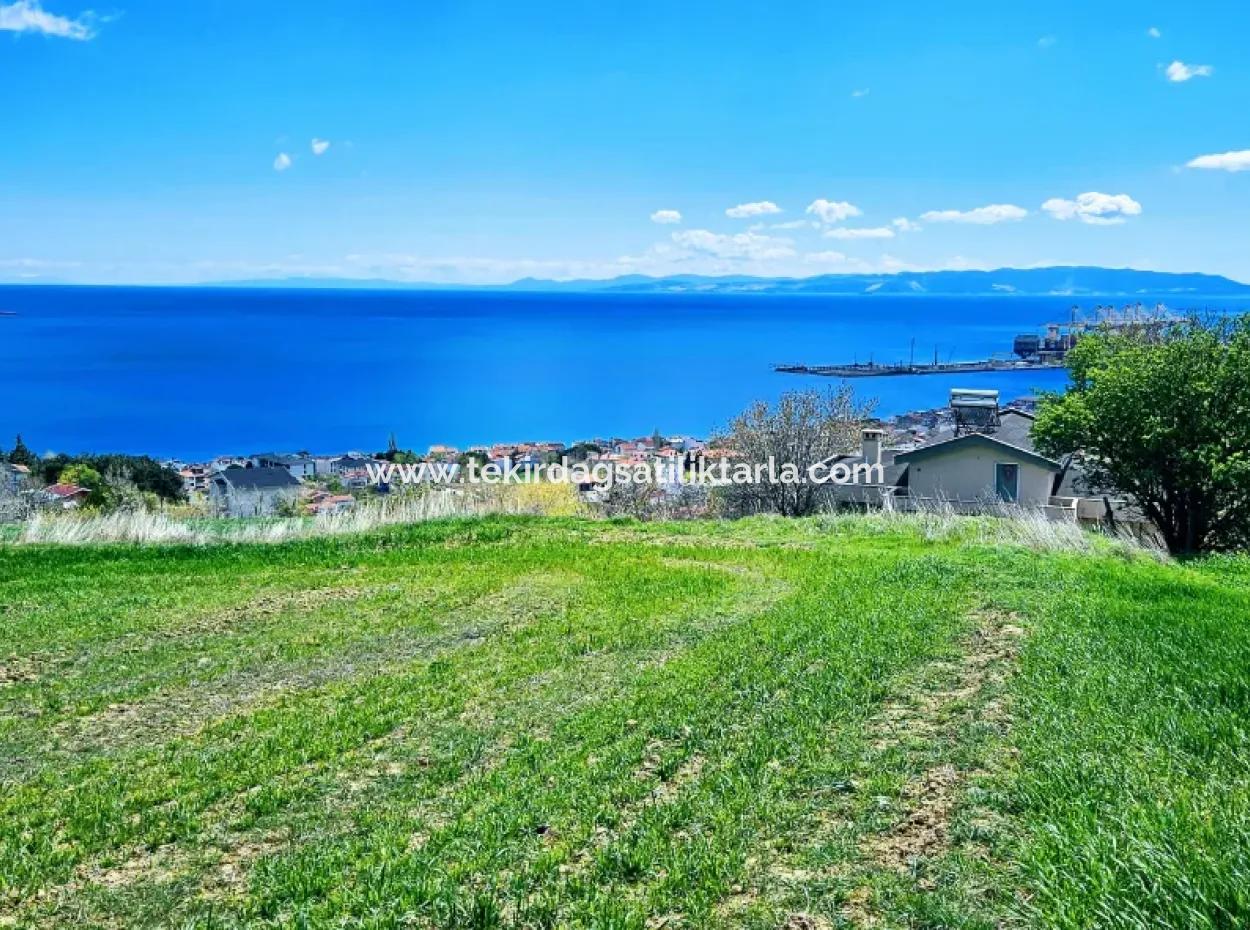 Vollständige Meeres- Und Naturlandschaftsinfrastruktur Bereit Luxus-, 45-Wohnungen-, Genossenschafts- Und Coupon-Grundstücke, Die Für Den Bau Vor Ort Geeignet Sind