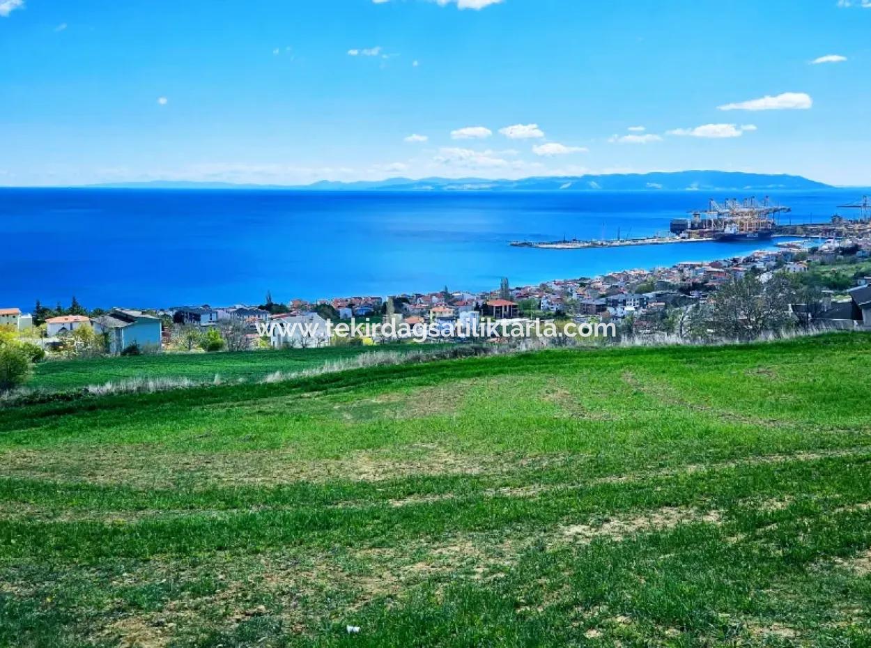 Vollständige Meeres- Und Naturlandschaftsinfrastruktur Bereit Luxus-, 45-Wohnungen-, Genossenschafts- Und Coupon-Grundstücke, Die Für Den Bau Vor Ort Geeignet Sind