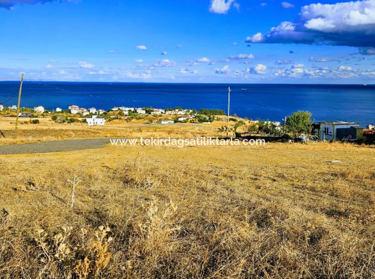 Tekirdag Barbarosta Gutschein Grundstück Mit Vollem Meerblick Zum Dringenden Verkauf