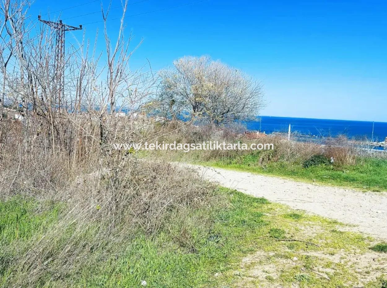 Investitionsmöglichkeit: 615 M2 Eckgrundstück Zum Verkauf In Tekirdag Barbaros - Dringender Verkauf, Meer- Und Naturblick, 0 Zonenbu Harika Konumda Ve 615 M2 Genişliğindeki Acil Satılık Köşe Arsa, Yatırımcılar Için Muazz