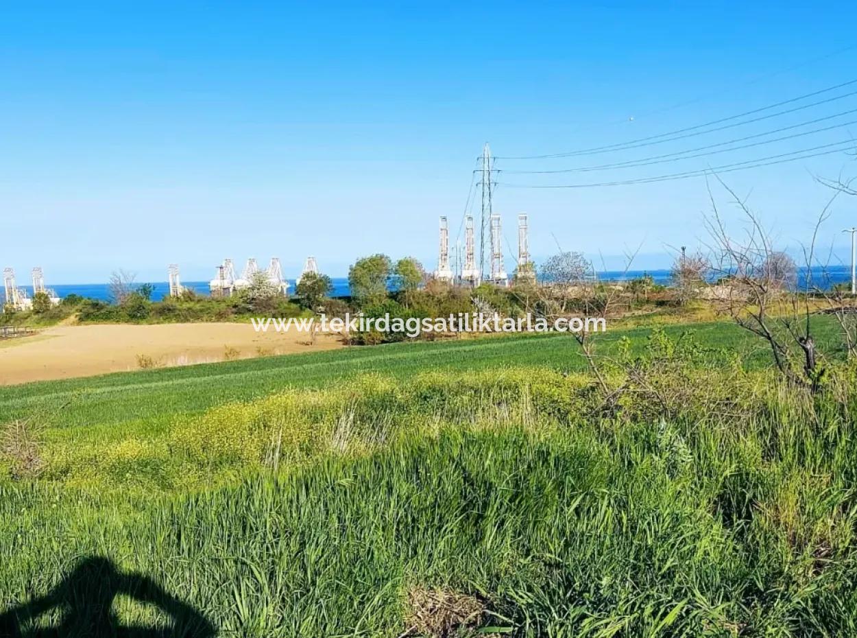 Investitionsmöglichkeit: 615 M2 Eckgrundstück Zum Verkauf In Tekirdag Barbaros - Dringender Verkauf, Meer- Und Naturblick, 0 Zonenbu Harika Konumda Ve 615 M2 Genişliğindeki Acil Satılık Köşe Arsa, Yatırımcılar Için Muazz
