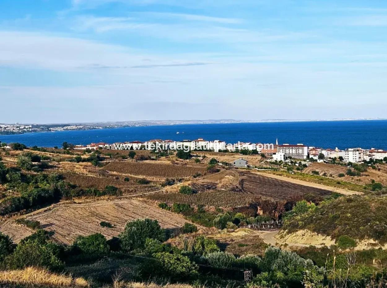 1.150 M² Großes Grundstück In Der Nähe Des Ramada Hotels In Tekirdag Suleymanpasa Barbaros - Topagac