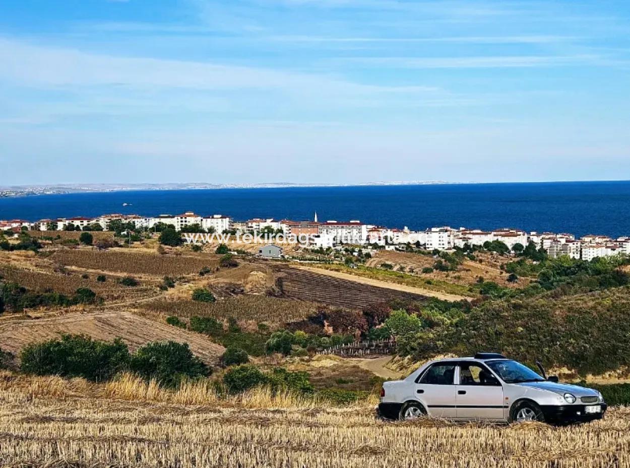 1.150 M² Großes Grundstück In Der Nähe Des Ramada Hotels In Tekirdag Suleymanpasa Barbaros - Topagac