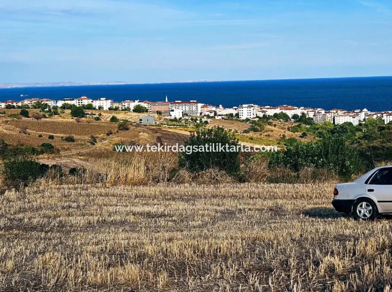 1.150 M² Großes Grundstück In Der Nähe Des Ramada Hotels In Tekirdag Suleymanpasa Barbaros - Topagac