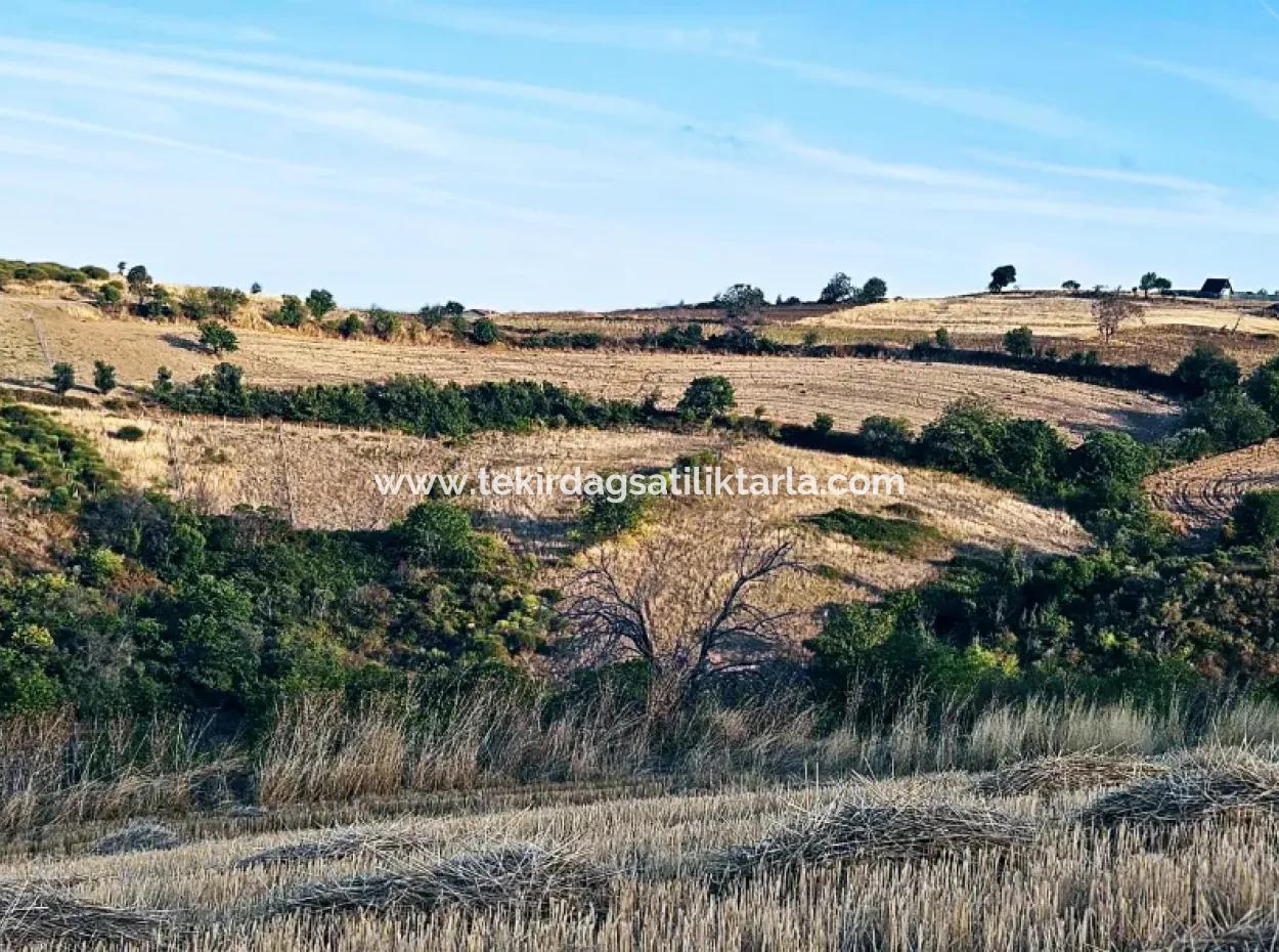 1.150 M² Großes Grundstück In Der Nähe Des Ramada Hotels In Tekirdag Suleymanpasa Barbaros - Topagac