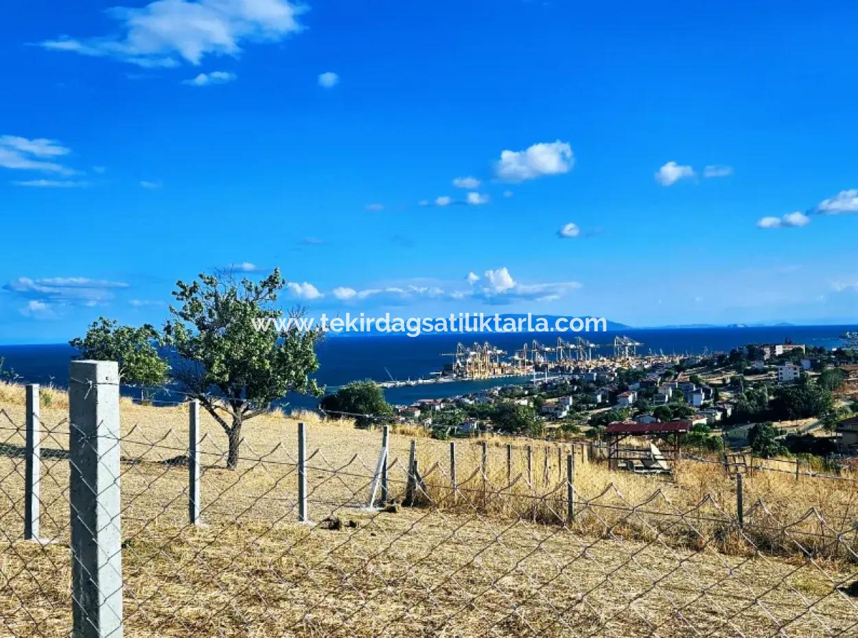 Full Sea View Swap Cash 765 M2 Opportunity Coupon Grundstück Zum Dringenden Verkauf