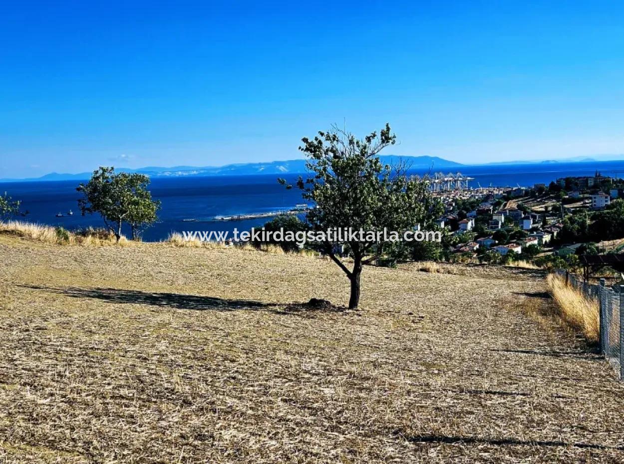 Full Sea View Swap Cash 765 M2 Opportunity Coupon Grundstück Zum Dringenden Verkauf