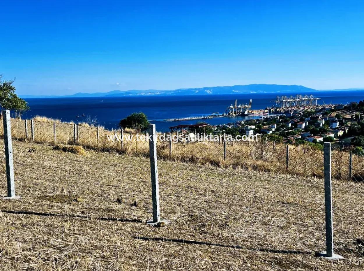 Full Sea View Swap Cash 765 M2 Opportunity Coupon Grundstück Zum Dringenden Verkauf