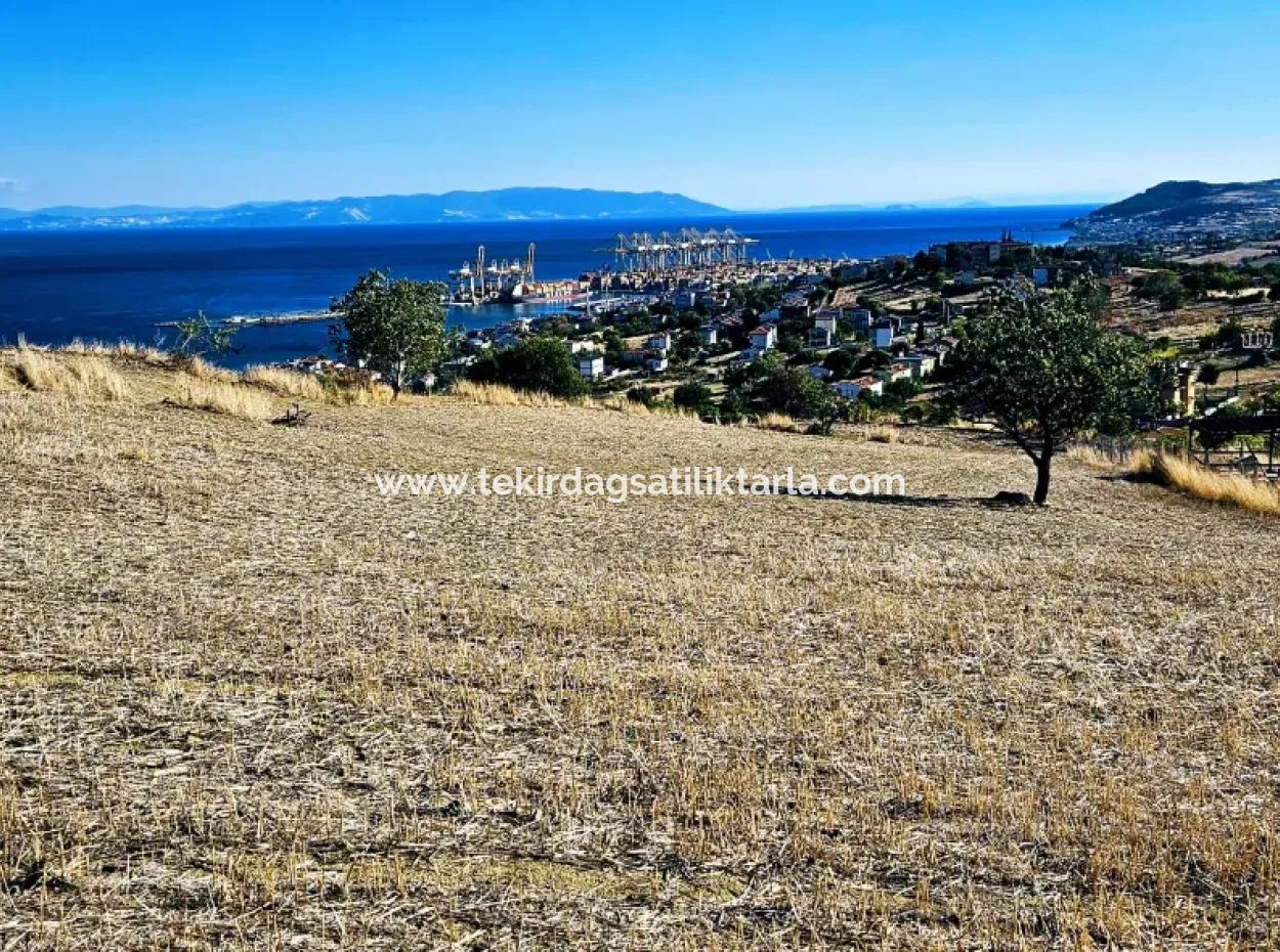 Full Sea View Swap Cash 765 M2 Opportunity Coupon Grundstück Zum Dringenden Verkauf