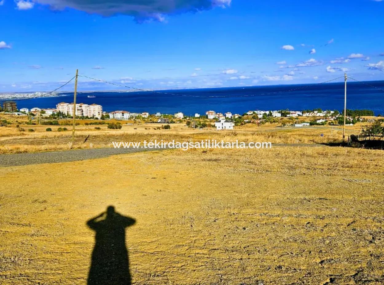 6 Wohnungen Gelegenheitsgrundstück Mit Herrlichem Meerblick Zum Dringenden Verkauf