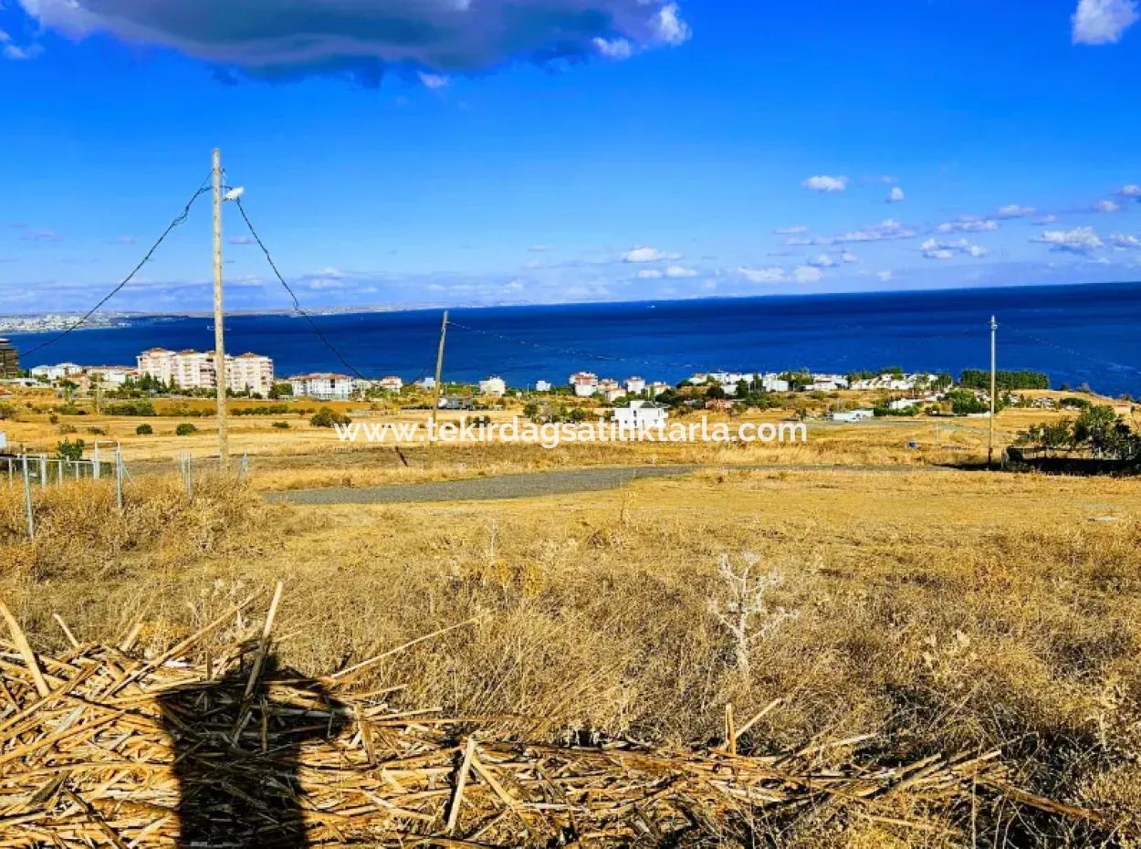 6 Wohnungen Gelegenheitsgrundstück Mit Herrlichem Meerblick Zum Dringenden Verkauf