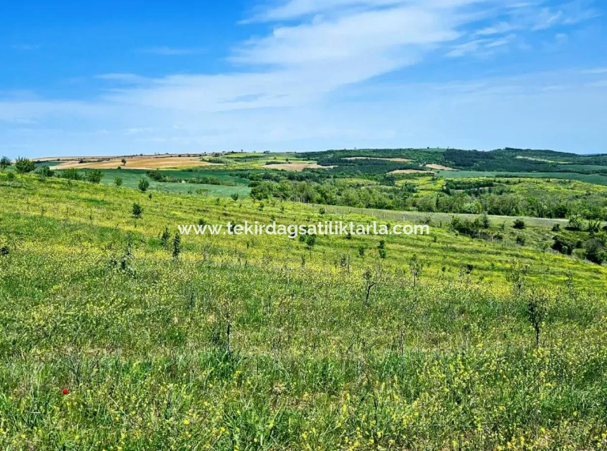 Eine Grossartige Gelegenheit, Ihren Bauernhof In Ihrer Familie Für Den Dringenden Verkauf Aufzubauen 2.600 Hektar Weidefront