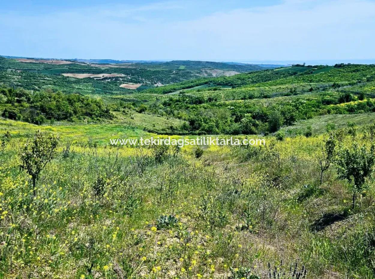 Eine Grossartige Gelegenheit, Ihren Bauernhof In Ihrer Familie Für Den Dringenden Verkauf Aufzubauen 2.600 Hektar Weidefront