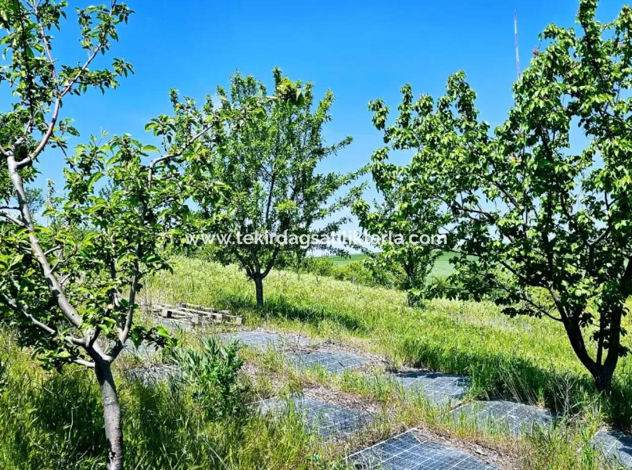 Eine Grossartige Gelegenheit, Ihren Bauernhof In Ihrer Familie Für Den Dringenden Verkauf Aufzubauen 2.600 Hektar Weidefront