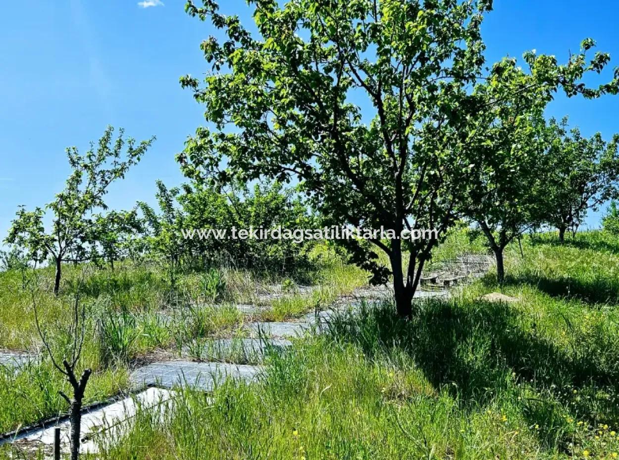 Eine Grossartige Gelegenheit, Ihren Bauernhof In Ihrer Familie Für Den Dringenden Verkauf Aufzubauen 2.600 Hektar Weidefront