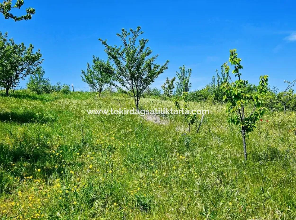 Eine Grossartige Gelegenheit, Ihren Bauernhof In Ihrer Familie Für Den Dringenden Verkauf Aufzubauen 2.600 Hektar Weidefront