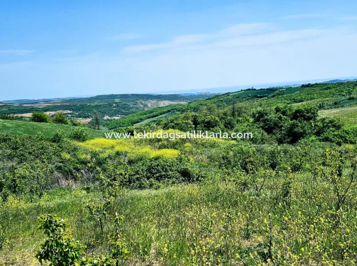 Eine Grossartige Gelegenheit, Ihren Bauernhof In Ihrer Familie Für Den Dringenden Verkauf Aufzubauen 2.600 Hektar Weidefront