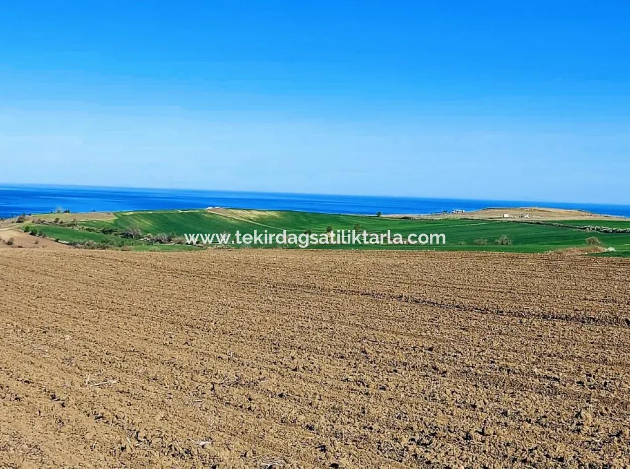 Tekirdag Barbarosta Luxusvilla Projekt Yap. Geben Sie Den Bauunternehmern Eine Wohnung Und Bauen Sie Eine Gewinnbringende Villa Mit Vollem Meerblick
