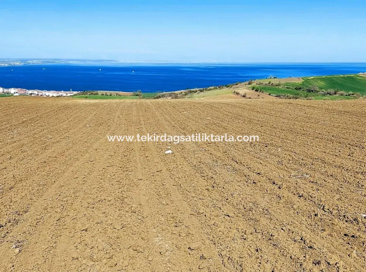 Tekirdag Barbarosta Luxusvilla Projekt Yap. Geben Sie Den Bauunternehmern Eine Wohnung Und Bauen Sie Eine Gewinnbringende Villa Mit Vollem Meerblick