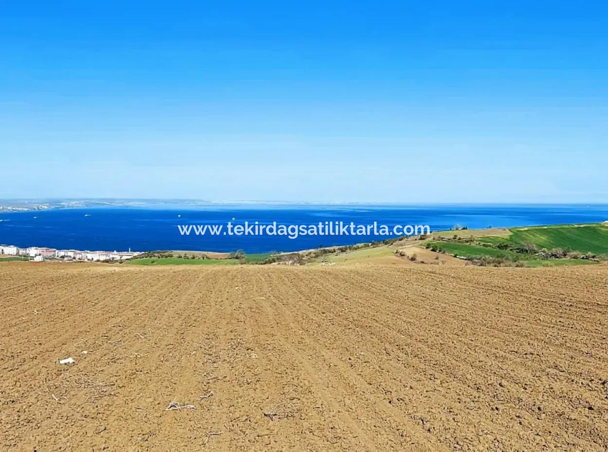 Tekirdag Barbarosta Luxusvilla Projekt Yap. Geben Sie Den Bauunternehmern Eine Wohnung Und Bauen Sie Eine Gewinnbringende Villa Mit Vollem Meerblick