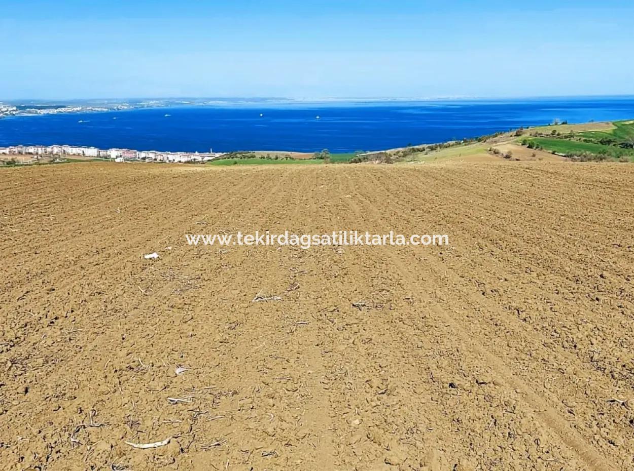 Tekirdag Barbarosta Luxusvilla Projekt Yap. Geben Sie Den Bauunternehmern Eine Wohnung Und Bauen Sie Eine Gewinnbringende Villa Mit Vollem Meerblick