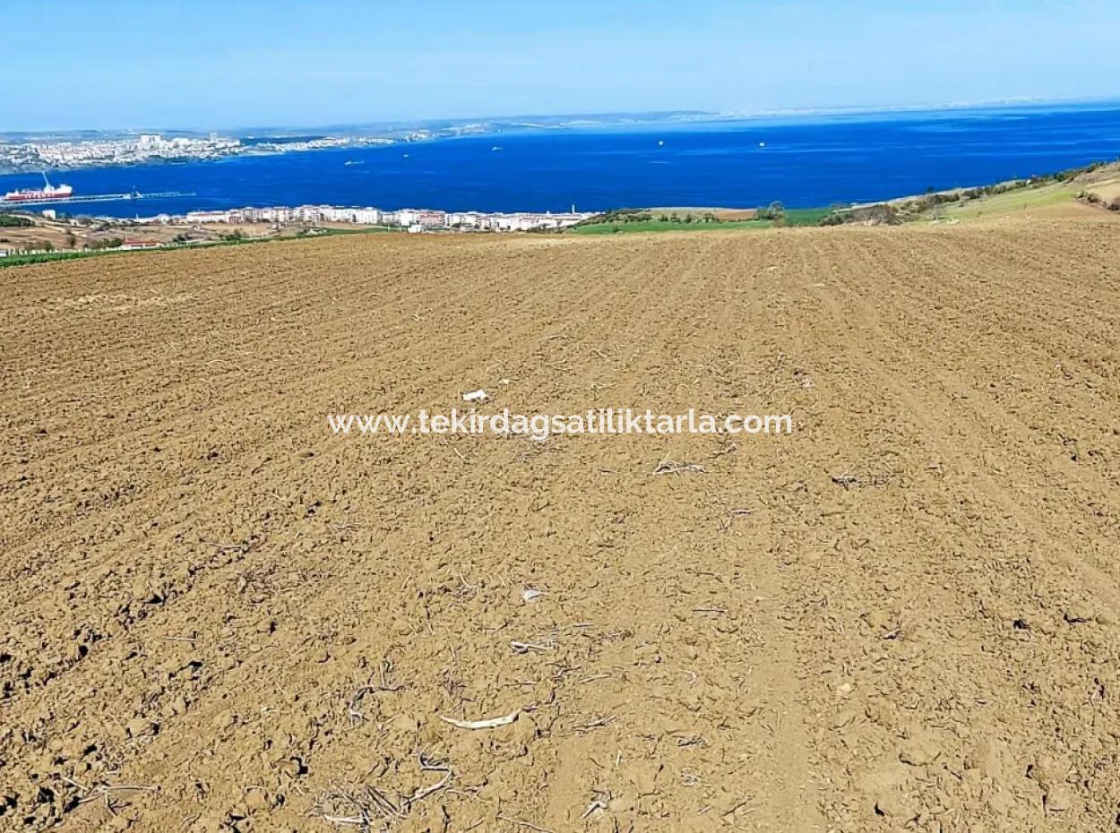 Tekirdag Barbarosta Luxusvilla Projekt Yap. Geben Sie Den Bauunternehmern Eine Wohnung Und Bauen Sie Eine Gewinnbringende Villa Mit Vollem Meerblick