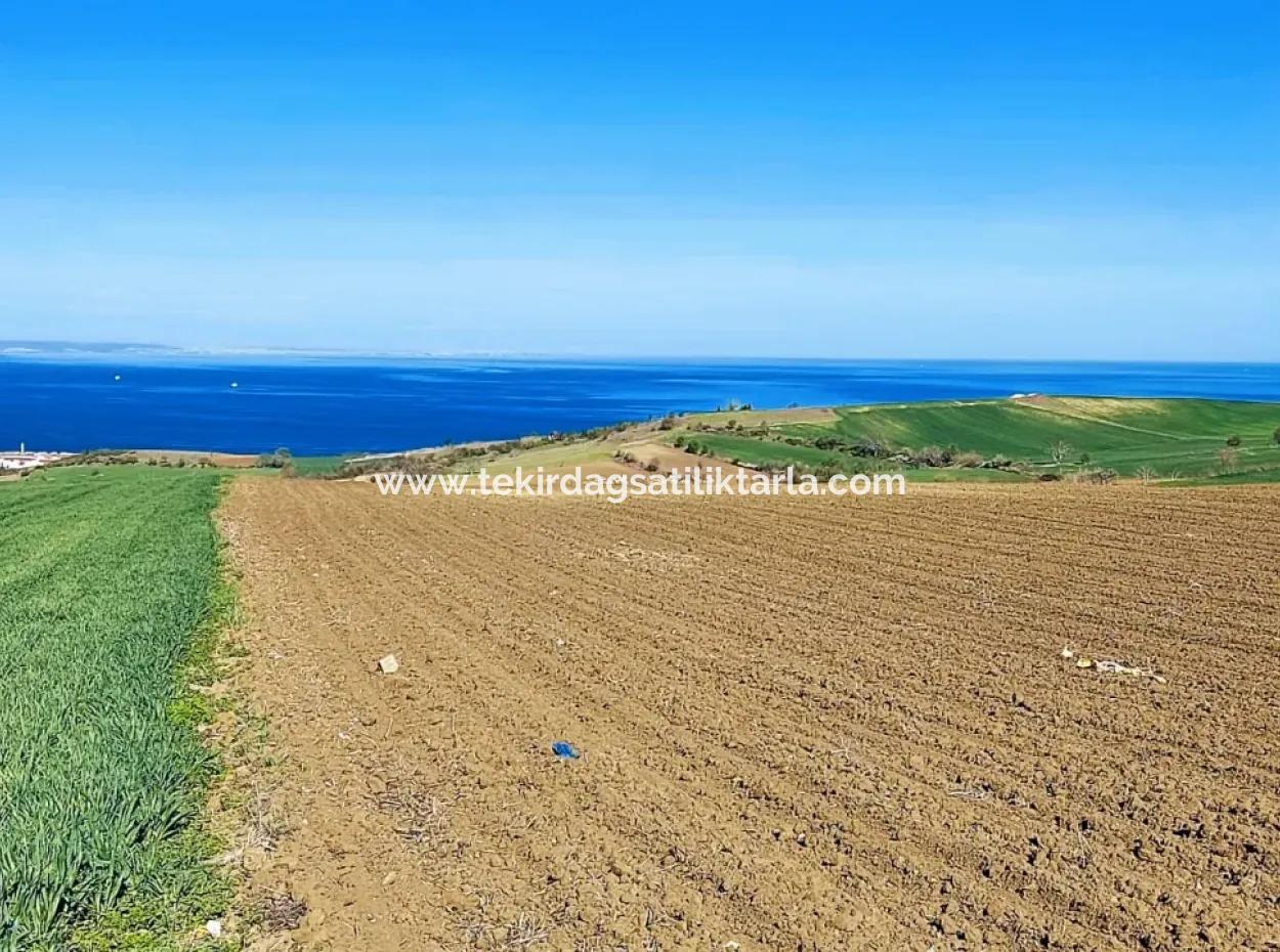 Tekirdag Barbarosta Luxusvilla Projekt Yap. Geben Sie Den Bauunternehmern Eine Wohnung Und Bauen Sie Eine Gewinnbringende Villa Mit Vollem Meerblick