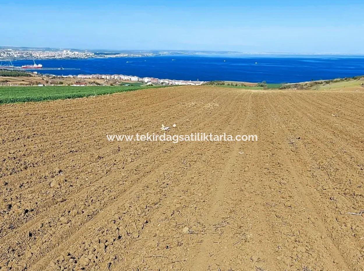 Tekirdag Barbarosta Luxusvilla Projekt Yap. Geben Sie Den Bauunternehmern Eine Wohnung Und Bauen Sie Eine Gewinnbringende Villa Mit Vollem Meerblick