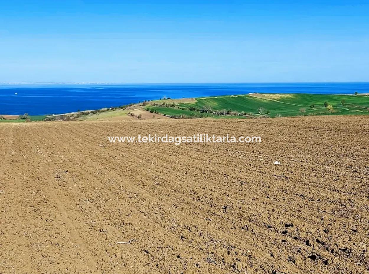 Tekirdag Barbarosta Luxusvilla Projekt Yap. Geben Sie Den Bauunternehmern Eine Wohnung Und Bauen Sie Eine Gewinnbringende Villa Mit Vollem Meerblick