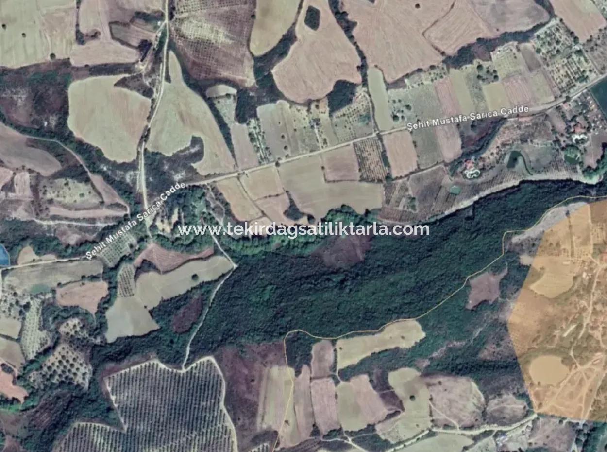 Dieses 5.500 Quadratmeter Große Feld Am Bach Liegt Im Bezirk Tekirdağ Süleymanpaşa Yeniköy