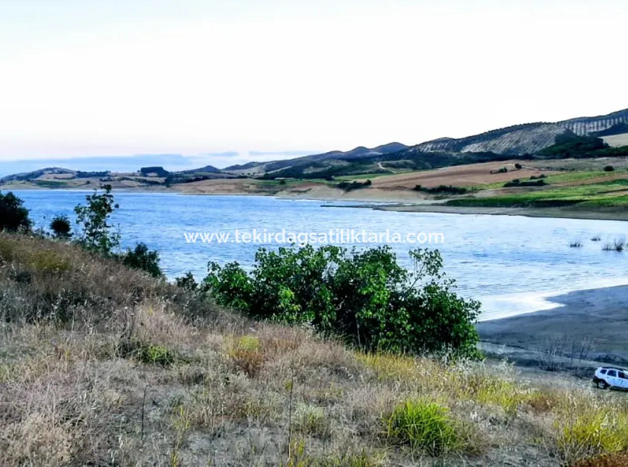Tekirdağ Yeniköyde Zum Verkauf 3.000 M2 Feld Zum Verkauf Mit Teichseite