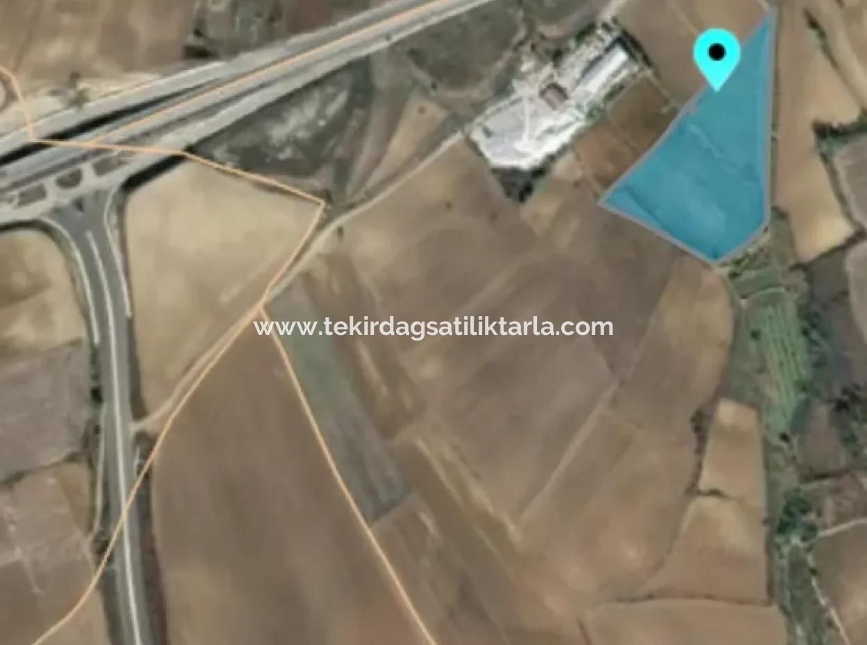 Grundstück Zum Verkauf Auf 19.500 Quadratmetern Gewerbe- Und Industriegebiet Im Nusuratlı-Gebiet Von Tekirdağ