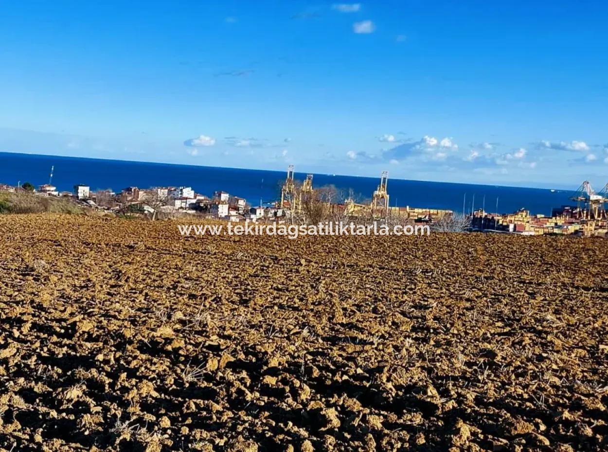 Einzigartiges 17.800 M2 Großes Wohngebiet In Der Gegend Von Süleymanpaşa Barbaros In Tekirdağ