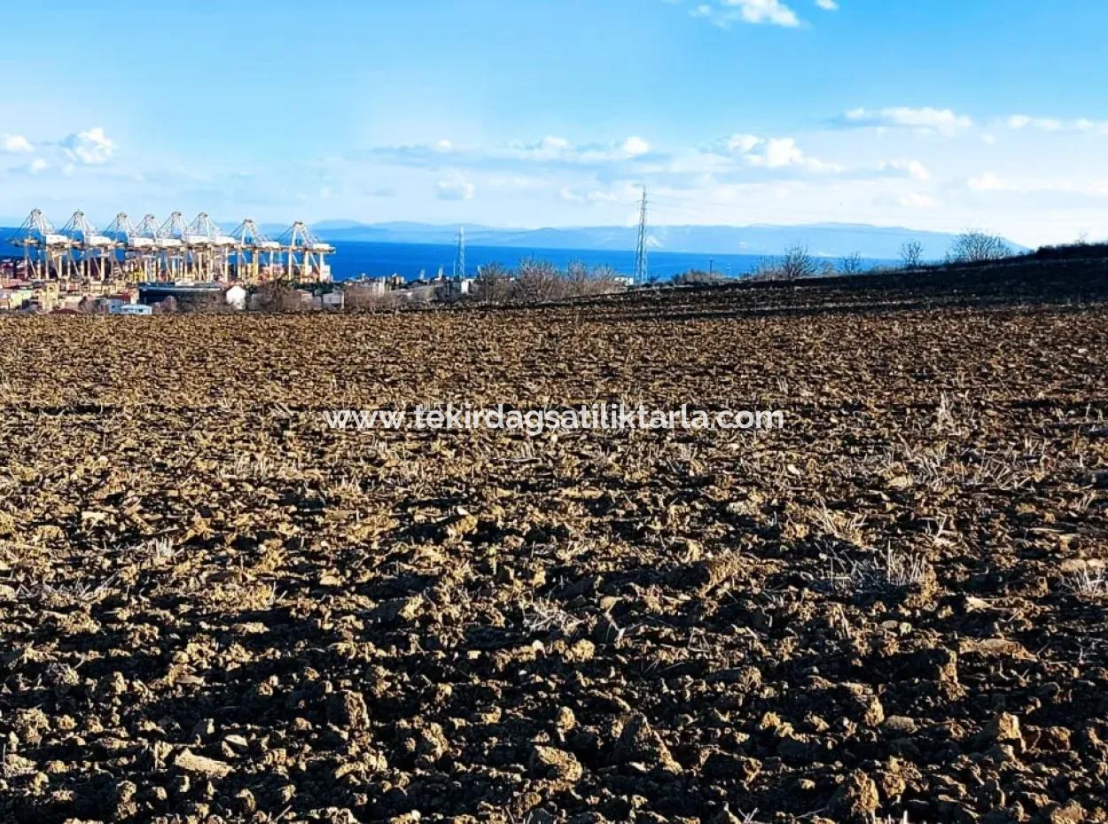 Einzigartiges 17.800 M2 Großes Wohngebiet In Der Gegend Von Süleymanpaşa Barbaros In Tekirdağ