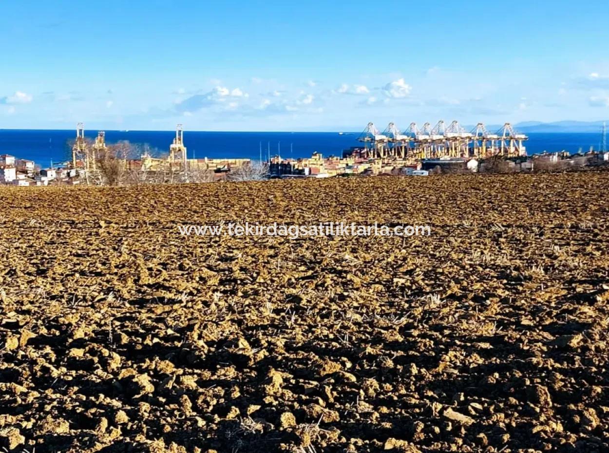 Einzigartiges 17.800 M2 Großes Wohngebiet In Der Gegend Von Süleymanpaşa Barbaros In Tekirdağ