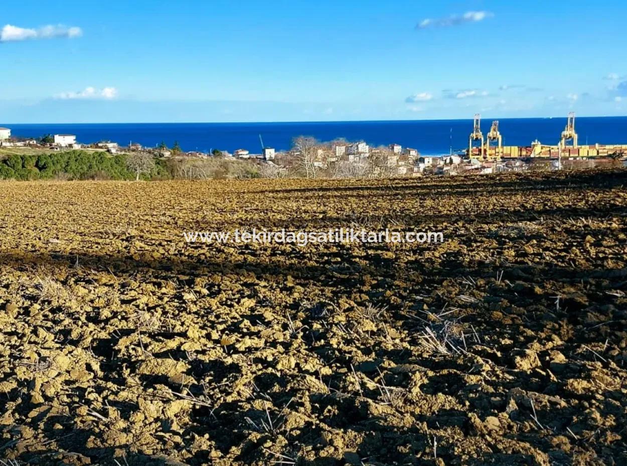 Einzigartiges 17.800 M2 Großes Wohngebiet In Der Gegend Von Süleymanpaşa Barbaros In Tekirdağ