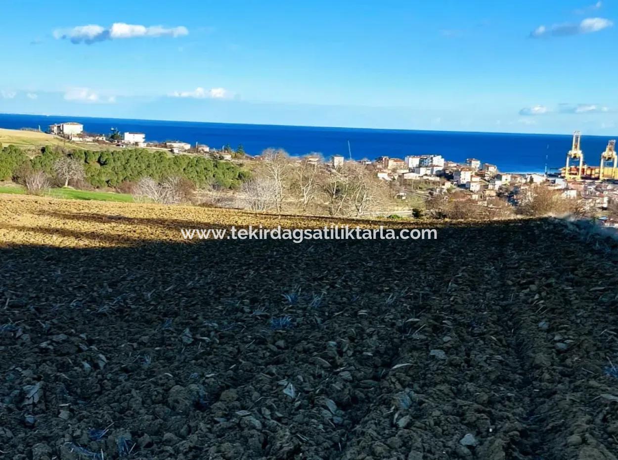 Einzigartiges 17.800 M2 Großes Wohngebiet In Der Gegend Von Süleymanpaşa Barbaros In Tekirdağ