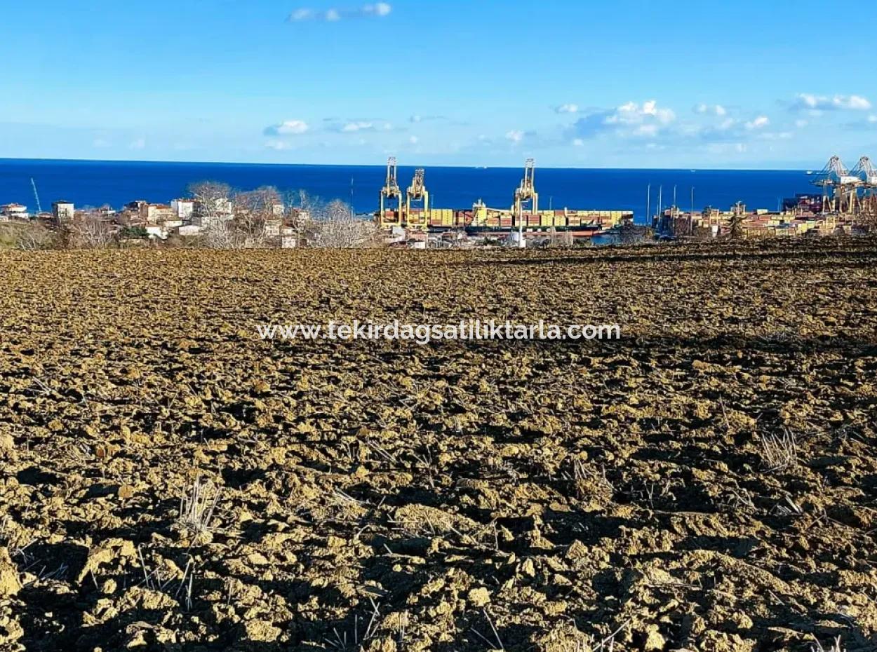 Einzigartiges 17.800 M2 Großes Wohngebiet In Der Gegend Von Süleymanpaşa Barbaros In Tekirdağ