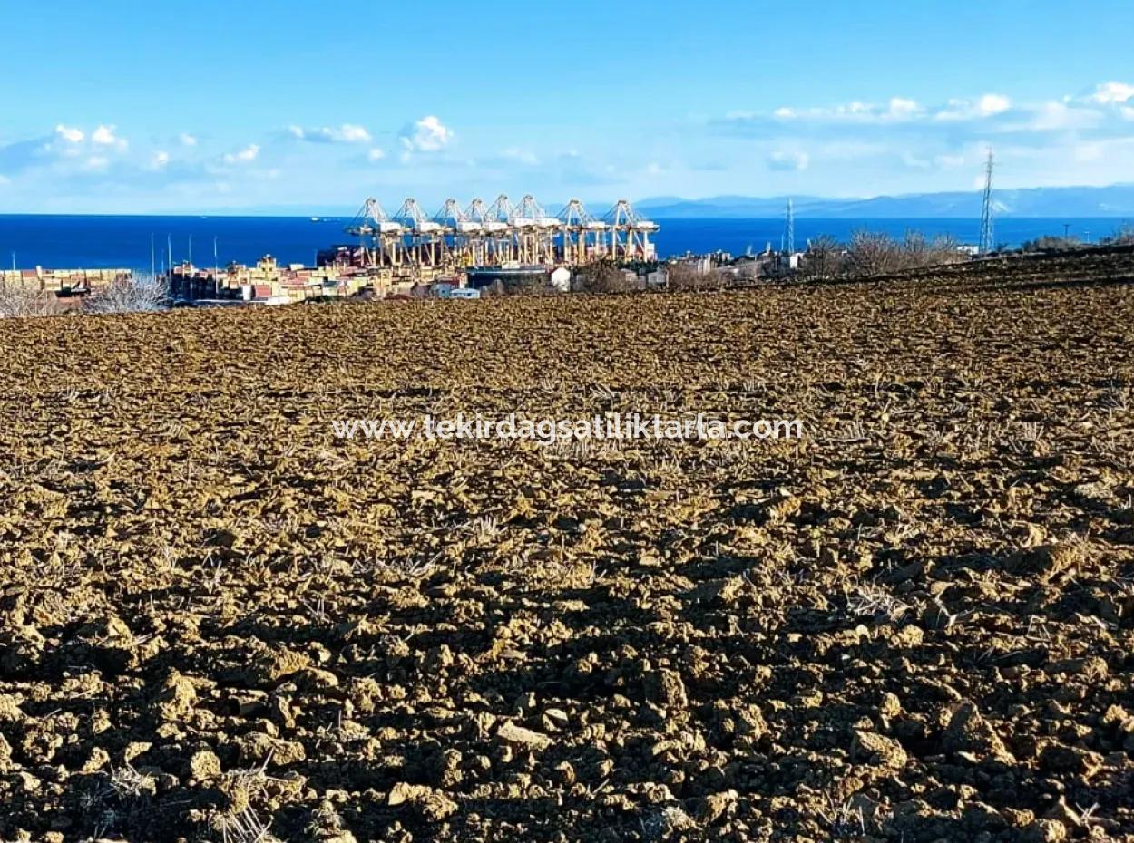 Einzigartiges 17.800 M2 Großes Wohngebiet In Der Gegend Von Süleymanpaşa Barbaros In Tekirdağ