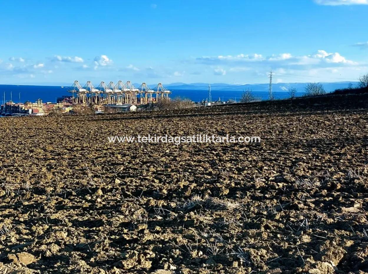 Einzigartiges 17.800 M2 Großes Wohngebiet In Der Gegend Von Süleymanpaşa Barbaros In Tekirdağ