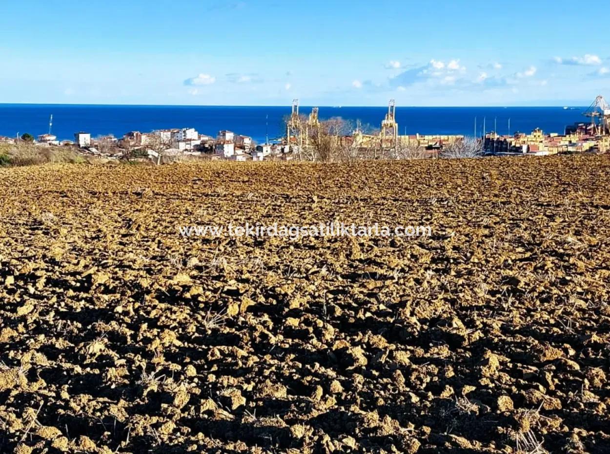 Einzigartiges 17.800 M2 Großes Wohngebiet In Der Gegend Von Süleymanpaşa Barbaros In Tekirdağ
