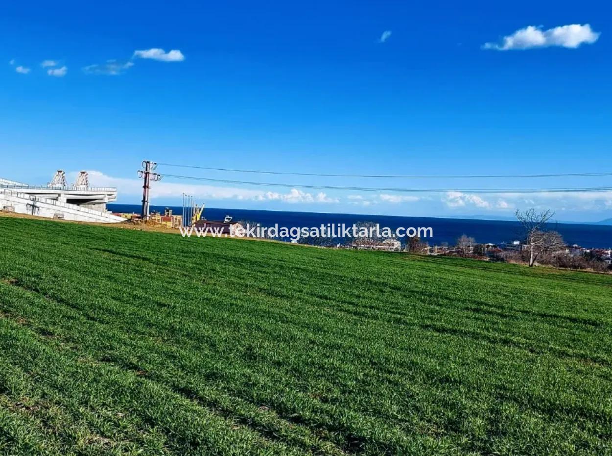Dieses 11.100 M2 Große Wohngrundstück Befindet Sich In Süleymanpaşa Barbaros, Tekirdag, In Einer Großartigen Lage.