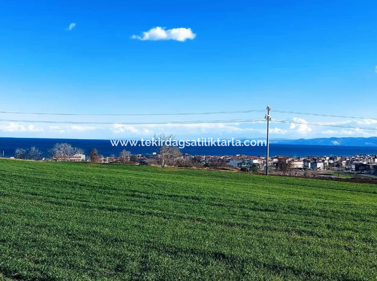 Dieses 11.100 M2 Große Wohngrundstück Befindet Sich In Süleymanpaşa Barbaros, Tekirdag, In Einer Großartigen Lage.