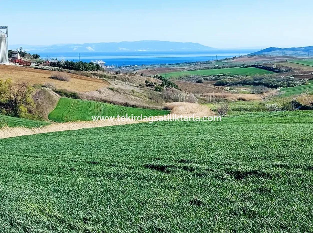 Grundstück Zum Verkauf Auf 19.500 Quadratmetern Gewerbe- Und Industriegebiet Im Nusuratlı-Gebiet Von Tekirdağ