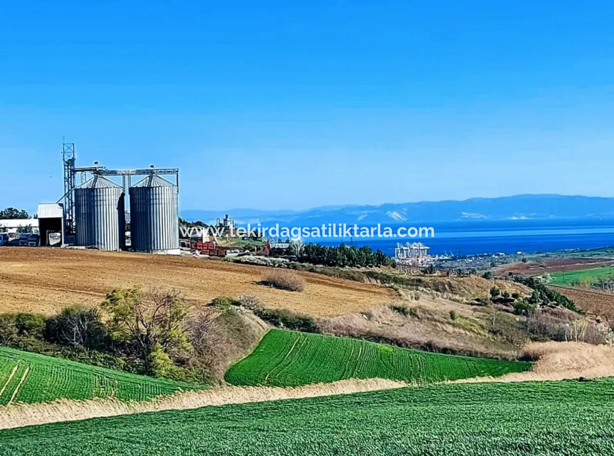 Grundstück Zum Verkauf Auf 19.500 Quadratmetern Gewerbe- Und Industriegebiet Im Nusuratlı-Gebiet Von Tekirdağ