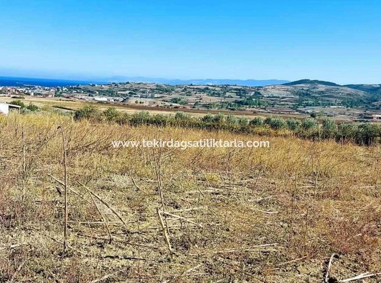 Grundstück Zum Verkauf In 18.100 M2 Lager- Und Industriegebiet In Tekirdag Süleymanpaşa Barbaros