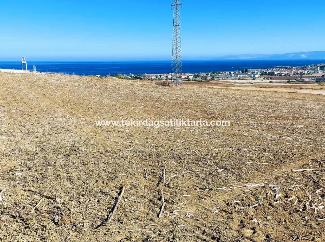 Das 21.900 M2 Große Grundstück In Tekirdağ Barbaros Befindet Sich Innerhalb Des Aktuellen Bebauungsplans Von Asyaport Port