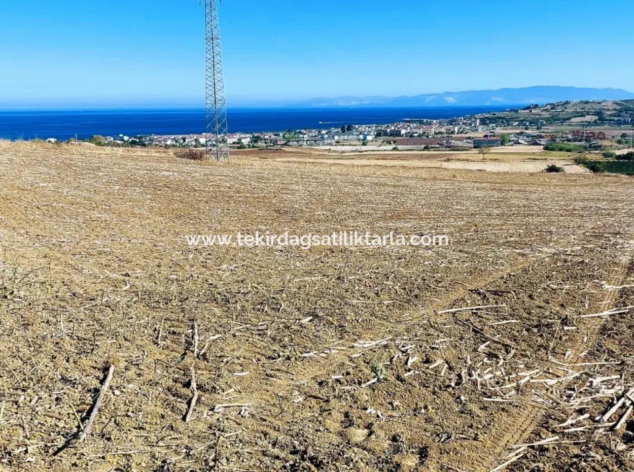 Das 21.900 M2 Große Grundstück In Tekirdağ Barbaros Befindet Sich Innerhalb Des Aktuellen Bebauungsplans Von Asyaport Port