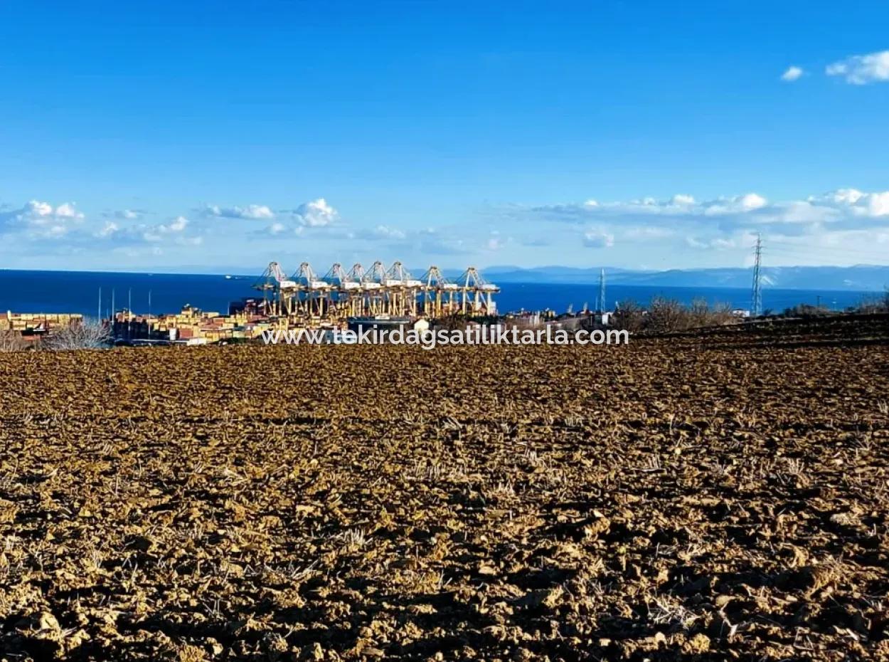 17.100 M2 Wohngebiet Mit Herrlicher Aussicht, In Der Nähe Des Hafens Tekirdağ Barbaros Asyaport
